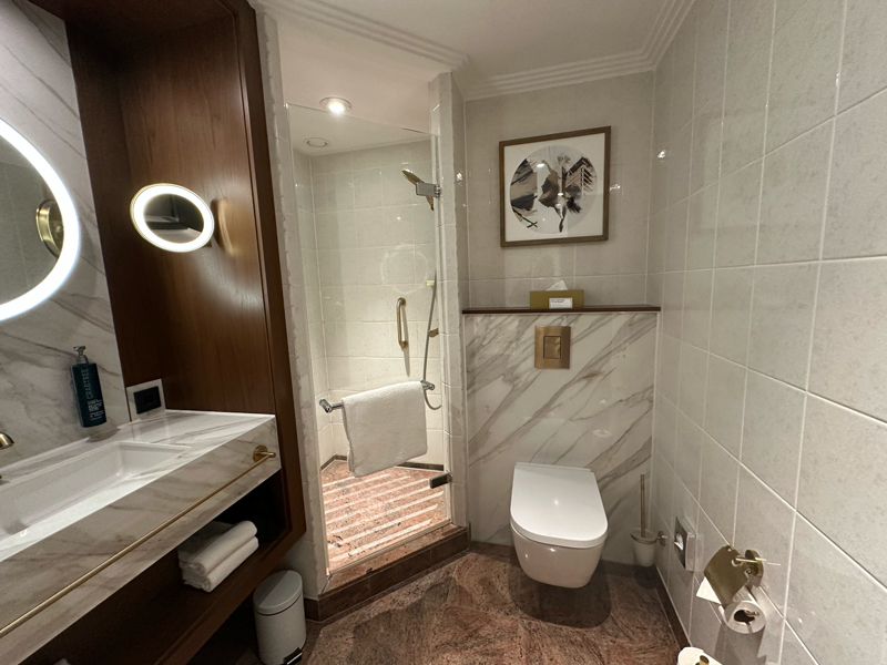 Badkamer Hilton City Centre Frankfurt